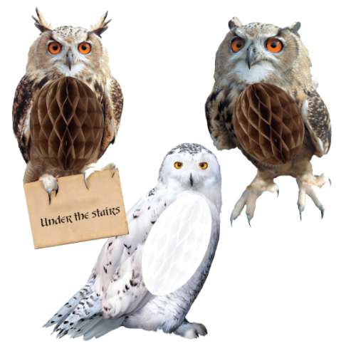 Harry Potter Hanging Owl Decorations